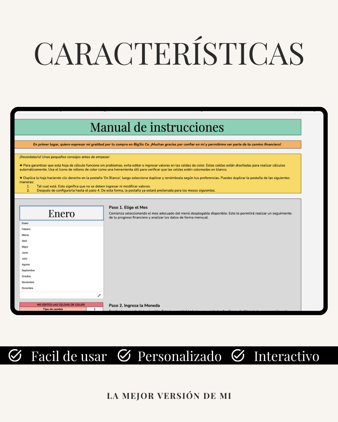 Plantilla de Control para Presupuesto Mensual